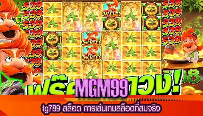 tg789 สล็อต การเล่นเกมสล็อตที่สมจริง