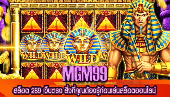สล็อต 289 เว็บตรง สิ่งที่คุณต้องรู้ก่อนเล่นสล็อตออนไลน์