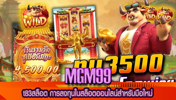 t83สล็อต การลงทุนในสล็อตออนไลน์สำหรับมือใหม่